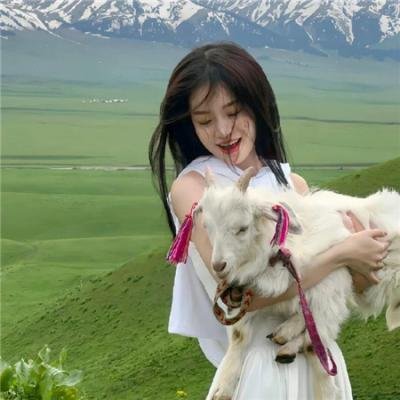 红木林 在线观看